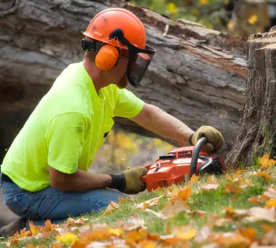 tree services Oregon